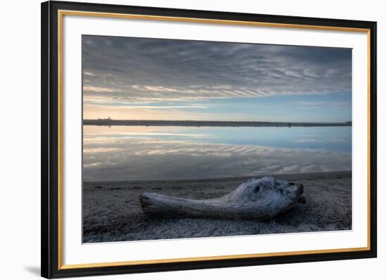 Driftwood Estuary-Nathan Secker-Framed Giclee Print