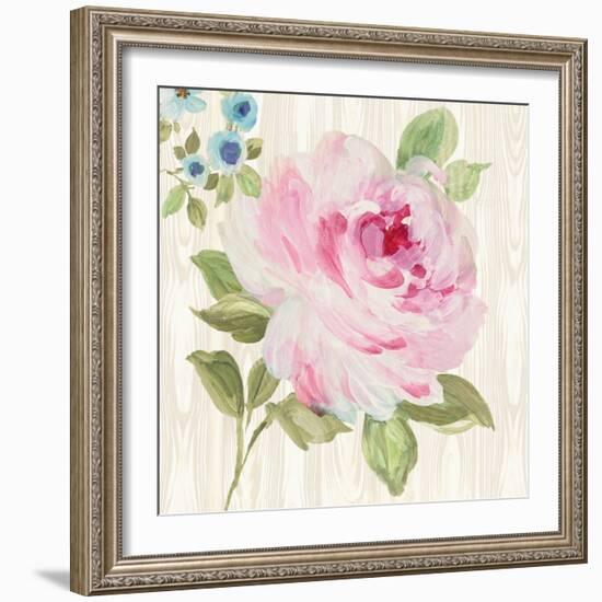 Driftwood Garden III-Wild Apple Portfolio-Framed Art Print