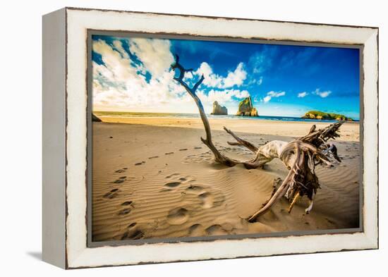 Driftwood in Golden Bay, Tasman Region, South Island, New Zealand, Pacific-Laura Grier-Framed Premier Image Canvas