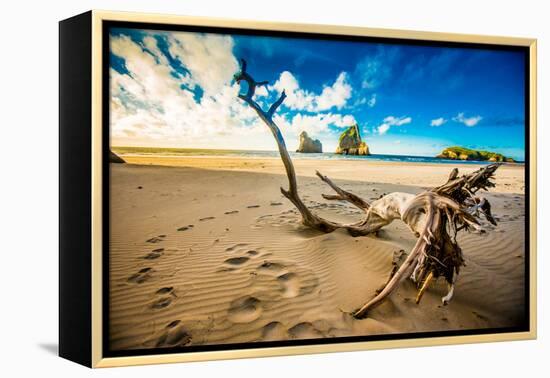 Driftwood in Golden Bay, Tasman Region, South Island, New Zealand, Pacific-Laura Grier-Framed Premier Image Canvas