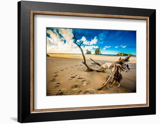 Driftwood in Golden Bay, Tasman Region, South Island, New Zealand, Pacific-Laura Grier-Framed Photographic Print