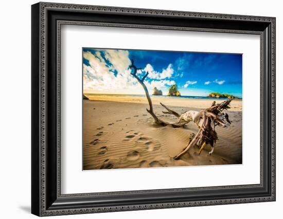 Driftwood in Golden Bay, Tasman Region, South Island, New Zealand, Pacific-Laura Grier-Framed Photographic Print