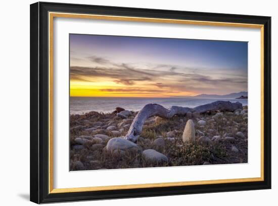 Driftwood January-Chris Moyer-Framed Photographic Print