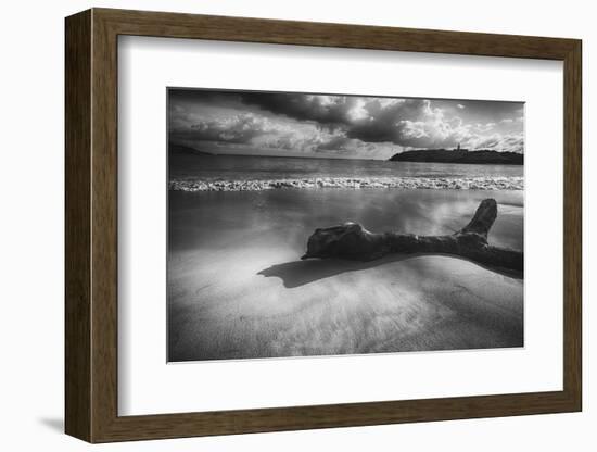 Driftwood on a Beach-George Oze-Framed Photographic Print