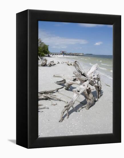 Driftwood on Beach with Fishing Pier in Background, Sanibel Island, Gulf Coast, Florida-Robert Harding-Framed Premier Image Canvas