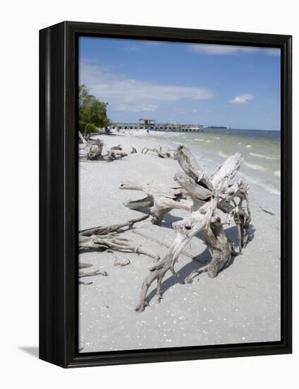 Driftwood on Beach with Fishing Pier in Background, Sanibel Island, Gulf Coast, Florida-Robert Harding-Framed Premier Image Canvas