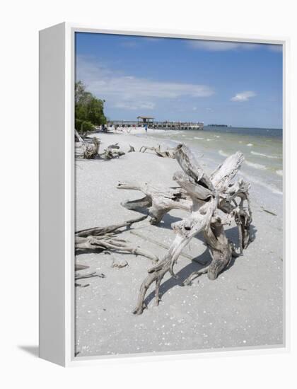 Driftwood on Beach with Fishing Pier in Background, Sanibel Island, Gulf Coast, Florida-Robert Harding-Framed Premier Image Canvas