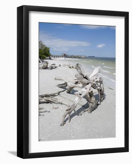 Driftwood on Beach with Fishing Pier in Background, Sanibel Island, Gulf Coast, Florida-Robert Harding-Framed Photographic Print