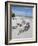 Driftwood on Beach with Fishing Pier in Background, Sanibel Island, Gulf Coast, Florida-Robert Harding-Framed Photographic Print