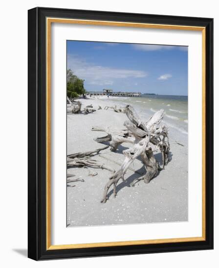 Driftwood on Beach with Fishing Pier in Background, Sanibel Island, Gulf Coast, Florida-Robert Harding-Framed Photographic Print