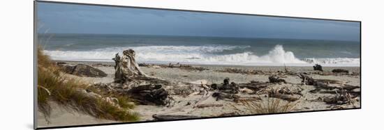 Driftwood on Ship Creek Park beach, Haast, Westland District, West Coast, South Island, New Zealand-null-Mounted Photographic Print