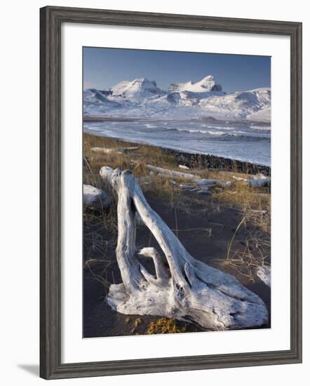 Driftwood on Shores of Borgarfjordur Eystri Fjord, Mount Dyrfjoll-Patrick Dieudonne-Framed Photographic Print