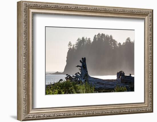 Driftwood on the beach at La Push on the Pacific Northwest coast, Washington State, United States o-Martin Child-Framed Photographic Print