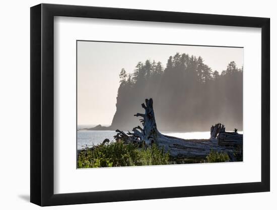 Driftwood on the beach at La Push on the Pacific Northwest coast, Washington State, United States o-Martin Child-Framed Photographic Print