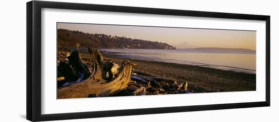 Driftwood on the Beach, Discovery Park, Mt Rainier, Seattle, King County, Washington State, USA-null-Framed Photographic Print