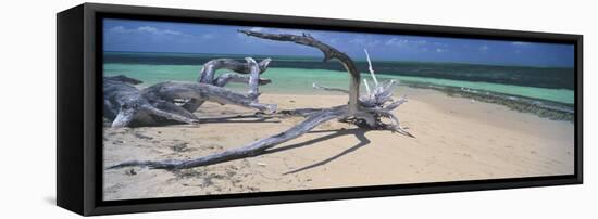 Driftwood on the Beach, Green Island, Great Barrier Reef, Queensland, Australia-null-Framed Stretched Canvas