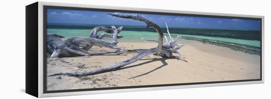 Driftwood on the Beach, Green Island, Great Barrier Reef, Queensland, Australia-null-Framed Stretched Canvas