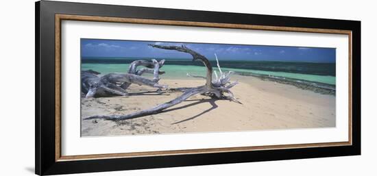 Driftwood on the Beach, Green Island, Great Barrier Reef, Queensland, Australia-null-Framed Photographic Print