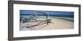 Driftwood on the Beach, Green Island, Great Barrier Reef, Queensland, Australia-null-Framed Photographic Print