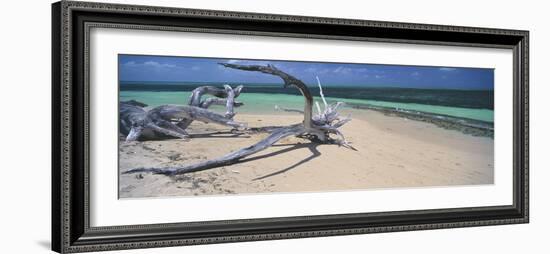 Driftwood on the Beach, Green Island, Great Barrier Reef, Queensland, Australia-null-Framed Photographic Print