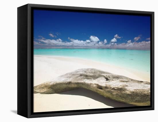 Driftwood on the Beach, Maldives, Indian Ocean, Asia-Sakis Papadopoulos-Framed Premier Image Canvas
