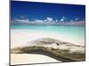 Driftwood on the Beach, Maldives, Indian Ocean, Asia-Sakis Papadopoulos-Mounted Photographic Print