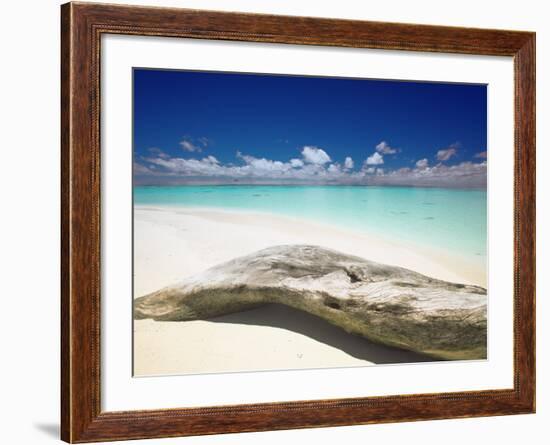 Driftwood on the Beach, Maldives, Indian Ocean, Asia-Sakis Papadopoulos-Framed Photographic Print