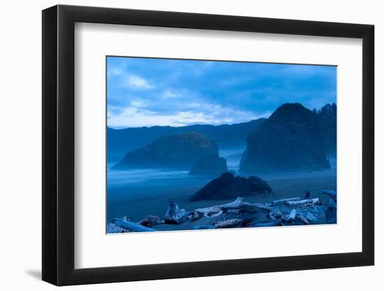 Driftwood on the Beach, Meyers Beach, Meyers Creek, Cape Sebastian, Gold Beach, Oregon, USA-null-Framed Photographic Print