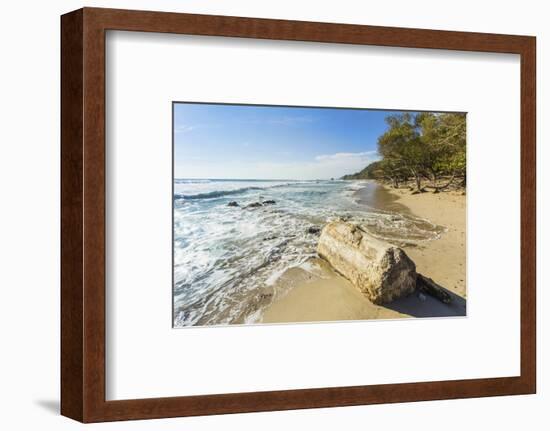 Driftwood on This Beautiful Surf Beach Near Mal Pais, Playa Santa Teresa, Costa Rica-Rob Francis-Framed Photographic Print