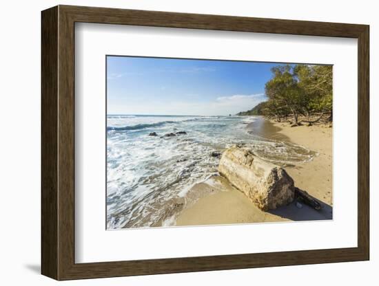 Driftwood on This Beautiful Surf Beach Near Mal Pais, Playa Santa Teresa, Costa Rica-Rob Francis-Framed Photographic Print