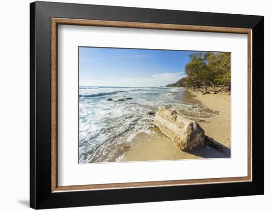 Driftwood on This Beautiful Surf Beach Near Mal Pais, Playa Santa Teresa, Costa Rica-Rob Francis-Framed Photographic Print