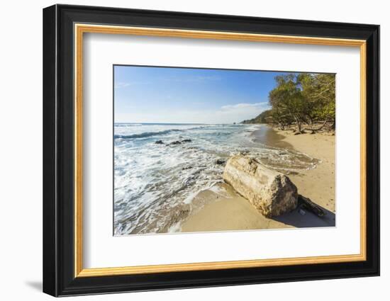 Driftwood on This Beautiful Surf Beach Near Mal Pais, Playa Santa Teresa, Costa Rica-Rob Francis-Framed Photographic Print