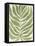 Driftwood Palm Leaf I-June Vess-Framed Stretched Canvas