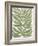 Driftwood Palm Leaf II-June Vess-Framed Art Print