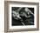 Driftwood, Port Orford, Oregon, 1974-Brett Weston-Framed Photographic Print