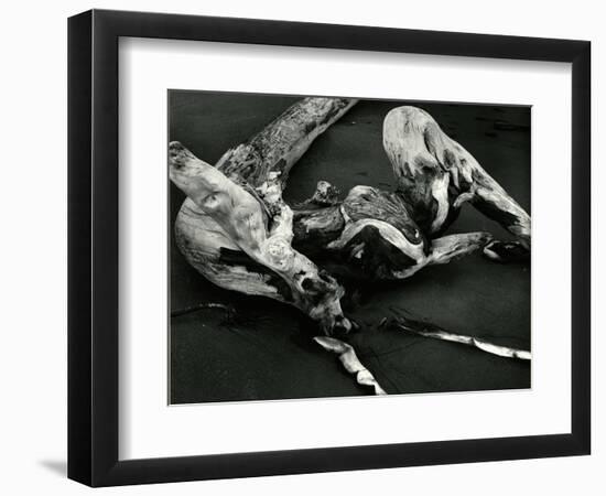 Driftwood, Port Orford, Oregon, 1974-Brett Weston-Framed Photographic Print