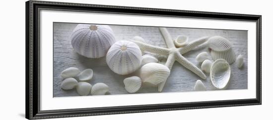 Driftwood Shells I-Bill Philip-Framed Art Print