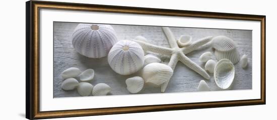 Driftwood Shells I-Bill Philip-Framed Art Print
