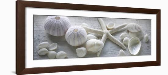 Driftwood Shells I-Bill Philip-Framed Art Print