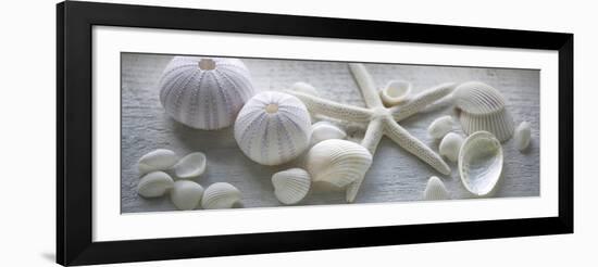 Driftwood Shells I-Bill Philip-Framed Art Print