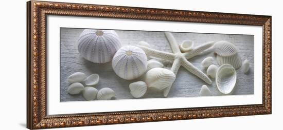 Driftwood Shells I-Bill Philip-Framed Art Print