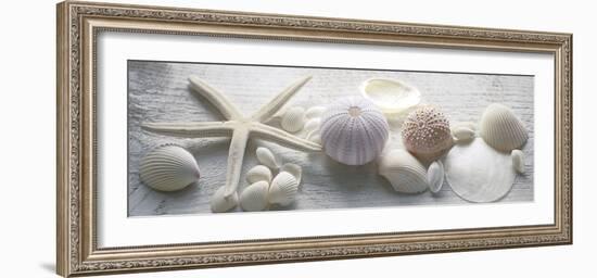 Driftwood Shells II-Bill Philip-Framed Giclee Print