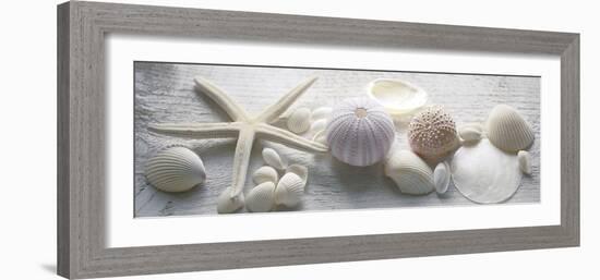 Driftwood Shells II-Bill Philip-Framed Giclee Print