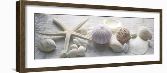 Driftwood Shells II-Bill Philip-Framed Giclee Print