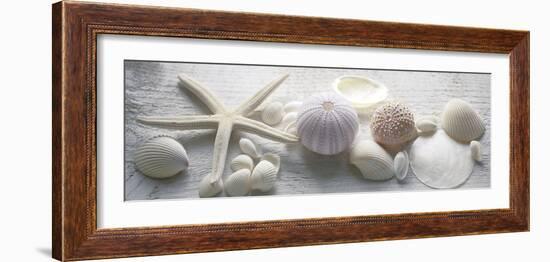 Driftwood Shells II-Bill Philip-Framed Giclee Print