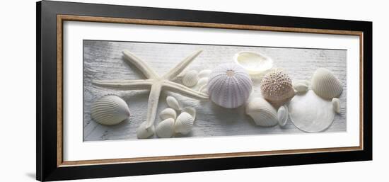 Driftwood Shells II-Bill Philip-Framed Giclee Print