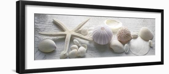 Driftwood Shells II-Bill Philip-Framed Giclee Print