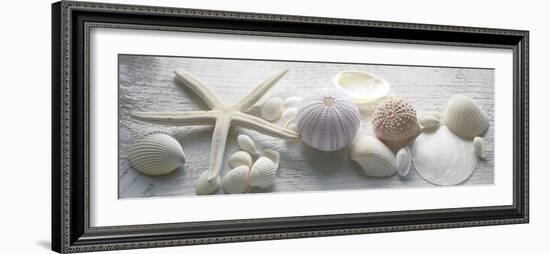 Driftwood Shells II-Bill Philip-Framed Giclee Print