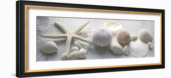 Driftwood Shells II-Bill Philip-Framed Giclee Print