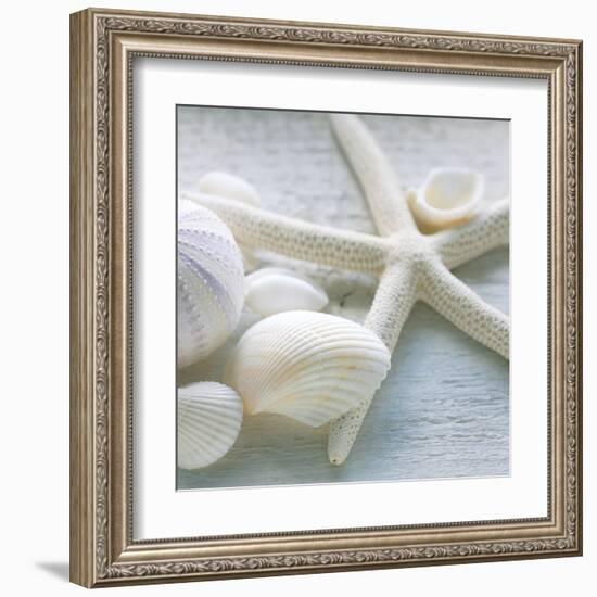 Driftwood Shells III-Bill Philip-Framed Art Print